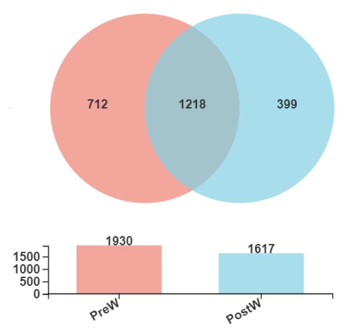 https://cdn.ncbi.nlm.nih.gov/pmc/blobs/c0ba/9404433/bd25221153b9/animals-12-02024-g002.jpg