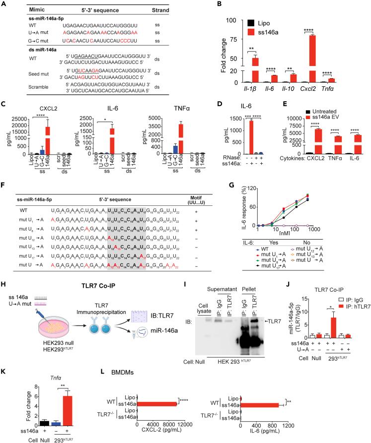 https://cdn.ncbi.nlm.nih.gov/pmc/blobs/c0bd/8633977/4e7f1866c575/gr3.jpg
