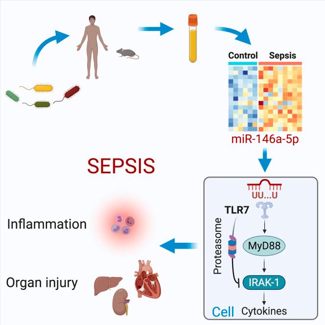 https://cdn.ncbi.nlm.nih.gov/pmc/blobs/c0bd/8633977/cf1aea3a0746/fx1.jpg