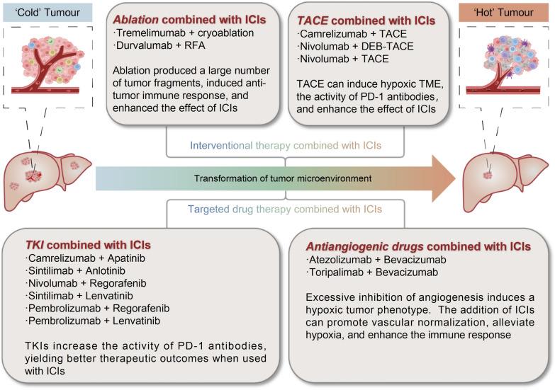 https://cdn.ncbi.nlm.nih.gov/pmc/blobs/c0be/12046748/189928126f64/40164_2025_636_Fig4_HTML.jpg