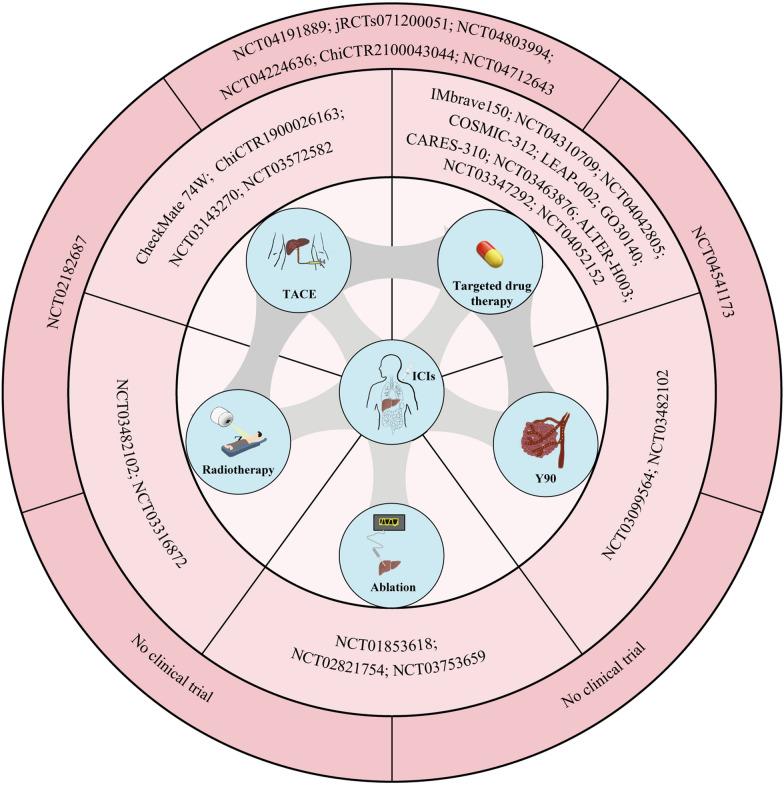 https://cdn.ncbi.nlm.nih.gov/pmc/blobs/c0be/12046748/3957bb84d9b1/40164_2025_636_Fig2_HTML.jpg
