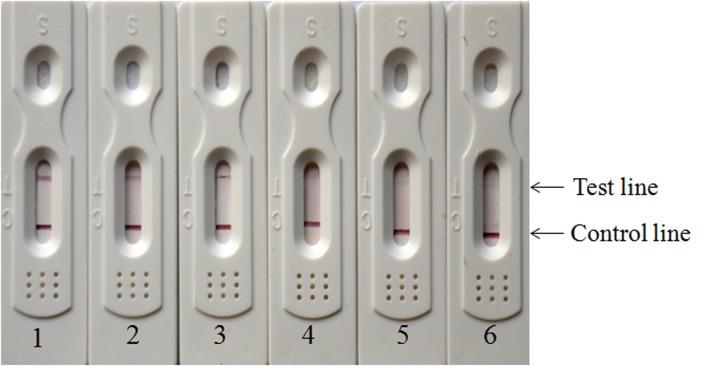 https://cdn.ncbi.nlm.nih.gov/pmc/blobs/c0bf/4378999/99d06753a1f9/pone.0122952.g005.jpg