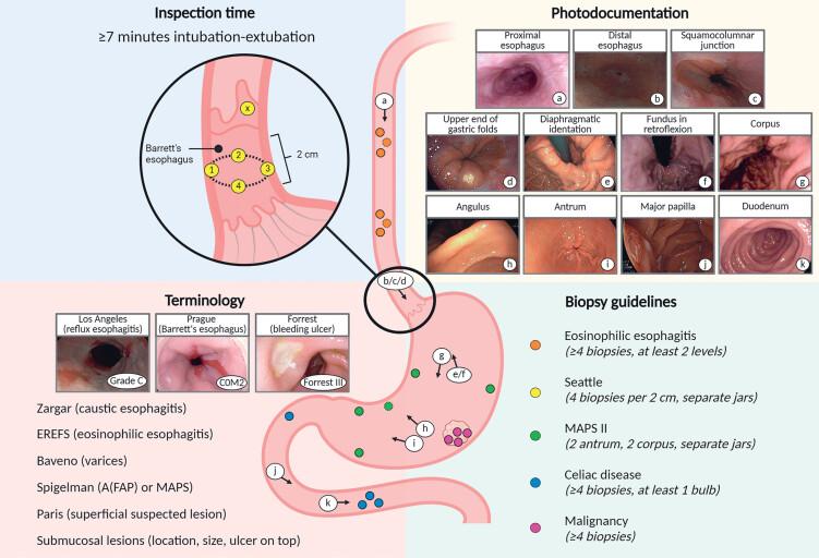 https://cdn.ncbi.nlm.nih.gov/pmc/blobs/c0c0/11922177/727e40083ebc/10-1055-a-2526-0240_25294065.jpg