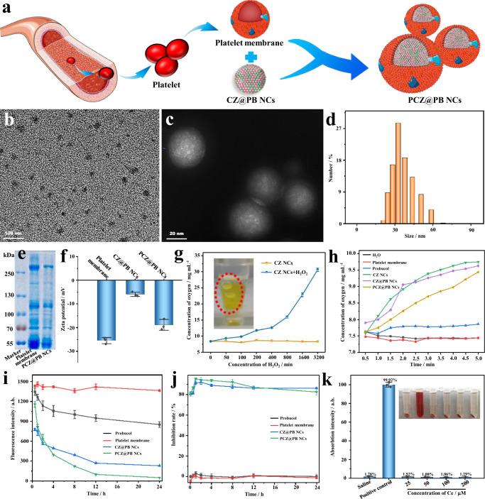 https://cdn.ncbi.nlm.nih.gov/pmc/blobs/c0c0/9626479/d5b6fa935199/41467_2022_34248_Fig3_HTML.jpg