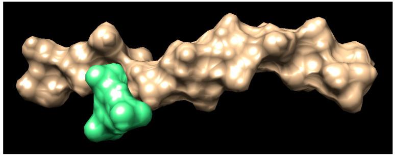 https://cdn.ncbi.nlm.nih.gov/pmc/blobs/c0c1/10143928/2d02ccf1df66/pharmaceutics-15-01084-g005.jpg
