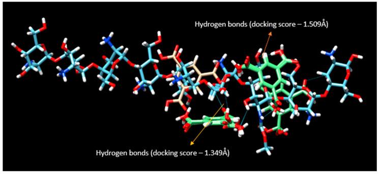 https://cdn.ncbi.nlm.nih.gov/pmc/blobs/c0c1/10143928/da6c8568bf48/pharmaceutics-15-01084-g006.jpg