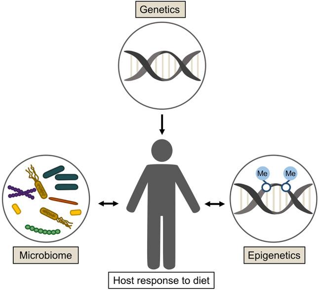 https://cdn.ncbi.nlm.nih.gov/pmc/blobs/c0c1/11298086/04aa055601fd/12263_2024_750_Fig1_HTML.jpg