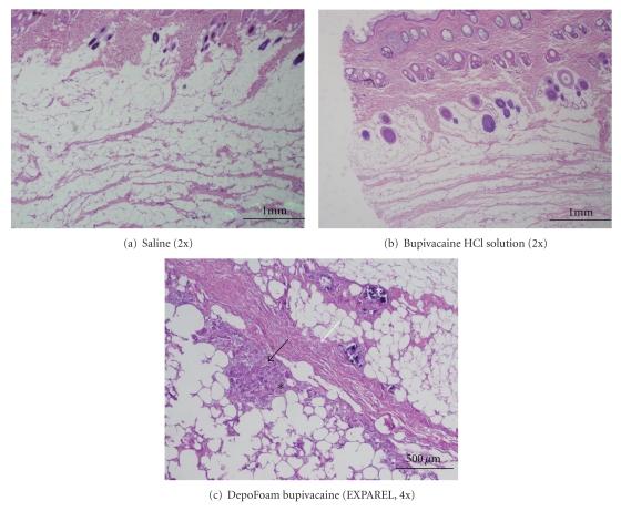 https://cdn.ncbi.nlm.nih.gov/pmc/blobs/c0c2/3189577/59fc4f5bd89f/JDD2011-467429.002.jpg