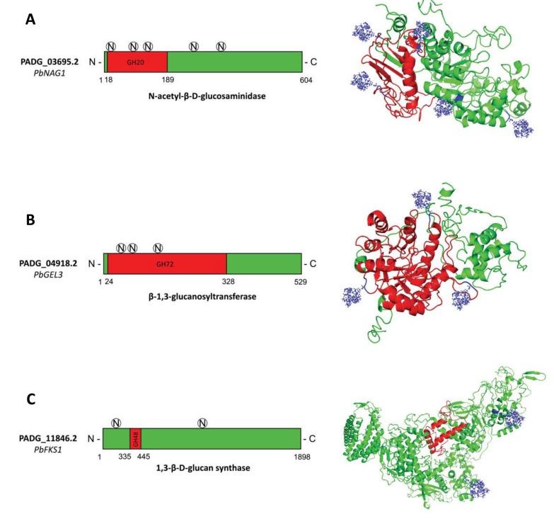 https://cdn.ncbi.nlm.nih.gov/pmc/blobs/c0c2/4864839/33a98728858b/CG-17-112_F4.jpg