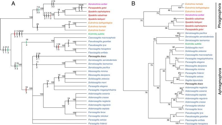https://cdn.ncbi.nlm.nih.gov/pmc/blobs/c0c3/4254178/424064356513/12983_2014_84_Fig6_HTML.jpg
