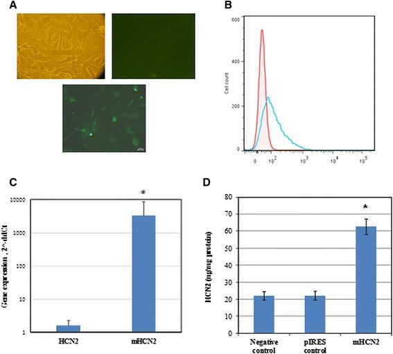 https://cdn.ncbi.nlm.nih.gov/pmc/blobs/c0c3/4853868/c30f6127ea60/13287_2016_326_Fig1_HTML.jpg