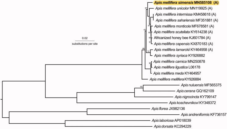 https://cdn.ncbi.nlm.nih.gov/pmc/blobs/c0c3/7721028/3db44e1b87ae/TMDN_A_1693307_F0001_C.jpg