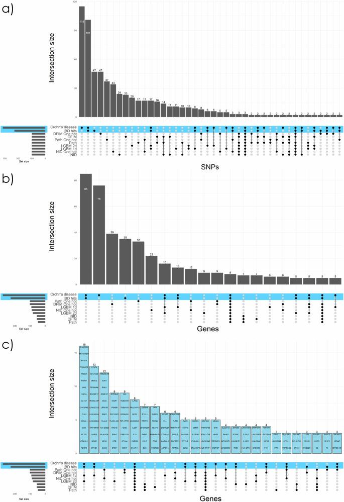 https://cdn.ncbi.nlm.nih.gov/pmc/blobs/c0c4/12141535/e37b315f481b/42003_2025_8157_Fig4_HTML.jpg