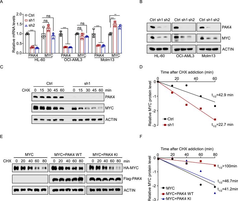 https://cdn.ncbi.nlm.nih.gov/pmc/blobs/c0c4/12375255/308c4ca03850/gr3.jpg