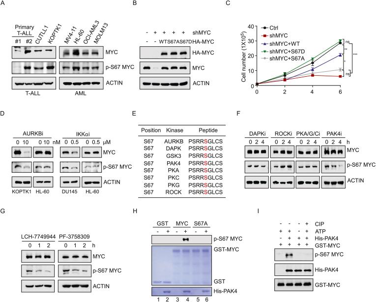 https://cdn.ncbi.nlm.nih.gov/pmc/blobs/c0c4/12375255/5ee0f7ac606d/gr1.jpg