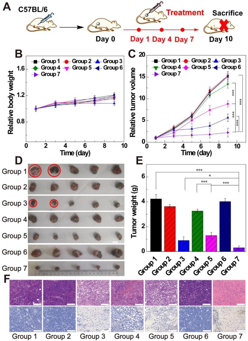 https://cdn.ncbi.nlm.nih.gov/pmc/blobs/c0c4/7052882/22ac5e88fa5d/thnov10p2791g007.jpg