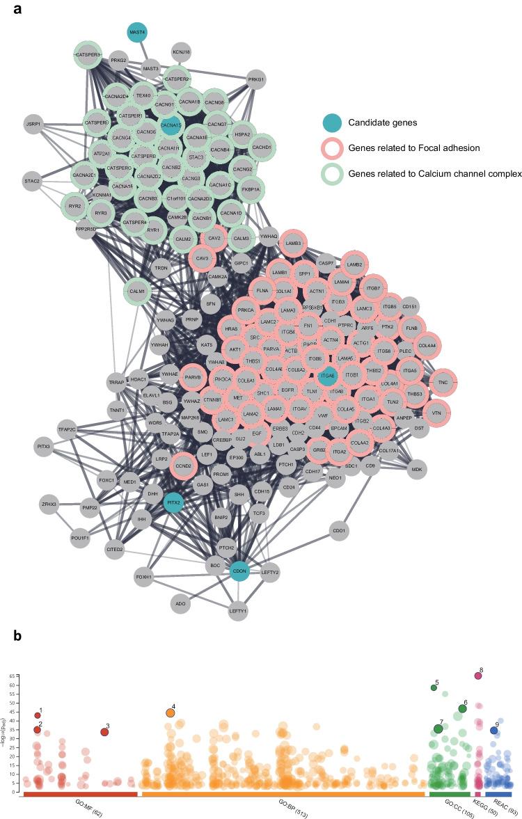https://cdn.ncbi.nlm.nih.gov/pmc/blobs/c0c5/10756872/2db365e9d0f5/784_2023_5415_Fig4_HTML.jpg