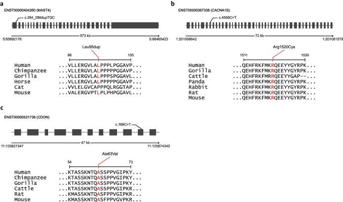 https://cdn.ncbi.nlm.nih.gov/pmc/blobs/c0c5/10756872/56e8452be0ce/784_2023_5415_Fig3_HTML.jpg