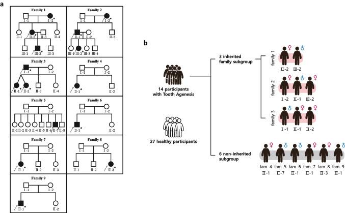 https://cdn.ncbi.nlm.nih.gov/pmc/blobs/c0c5/10756872/e1a91623cf40/784_2023_5415_Fig1_HTML.jpg