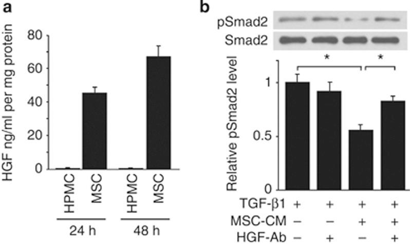 https://cdn.ncbi.nlm.nih.gov/pmc/blobs/c0c5/3731556/06efb6e828d5/ki201381f10.jpg