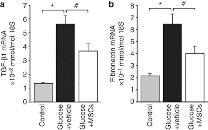 https://cdn.ncbi.nlm.nih.gov/pmc/blobs/c0c5/3731556/19dd25ae6b3e/ki201381f8.jpg