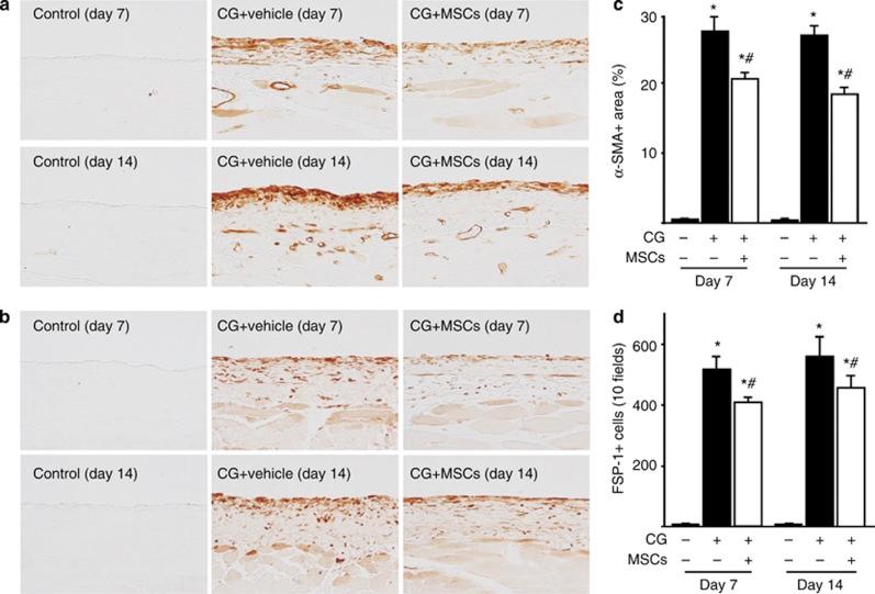 https://cdn.ncbi.nlm.nih.gov/pmc/blobs/c0c5/3731556/293029a1e2ac/ki201381f2.jpg