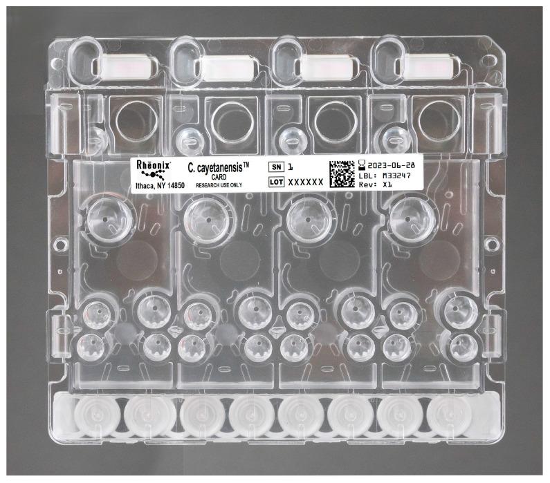https://cdn.ncbi.nlm.nih.gov/pmc/blobs/c0c7/10673183/e1a64b30a955/microorganisms-11-02805-g002.jpg