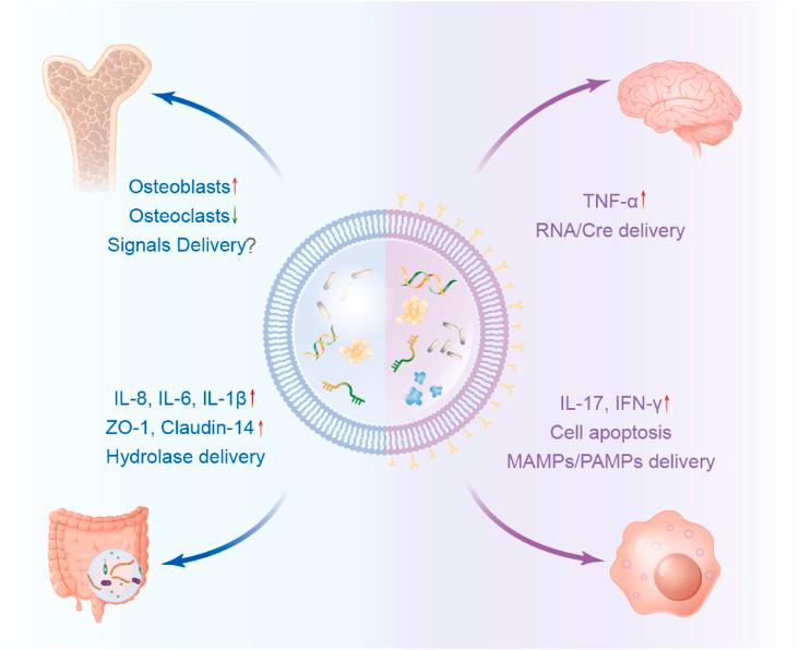 https://cdn.ncbi.nlm.nih.gov/pmc/blobs/c0c9/8892084/5b2823e2c6f2/gr4.jpg