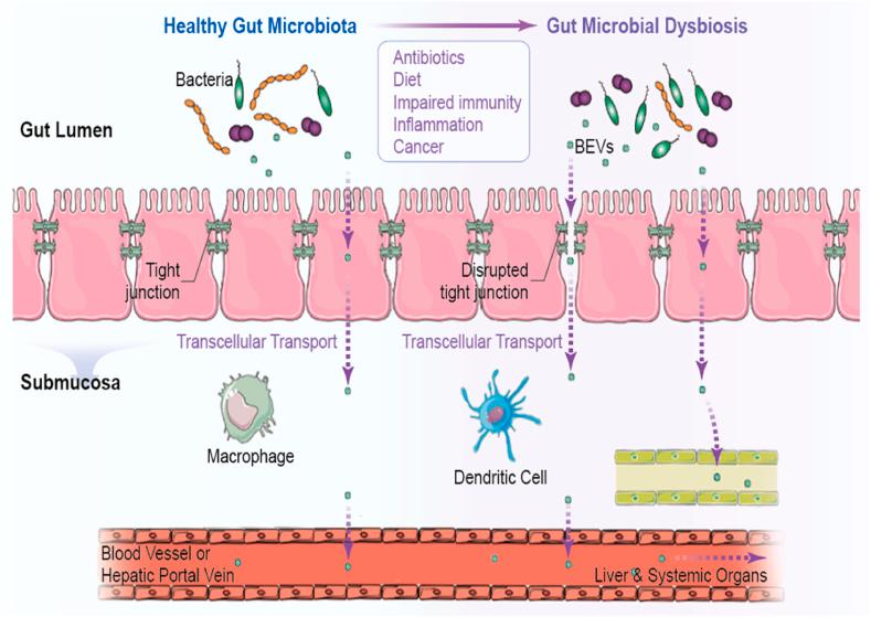 https://cdn.ncbi.nlm.nih.gov/pmc/blobs/c0c9/8892084/63bafdc2333c/gr3.jpg