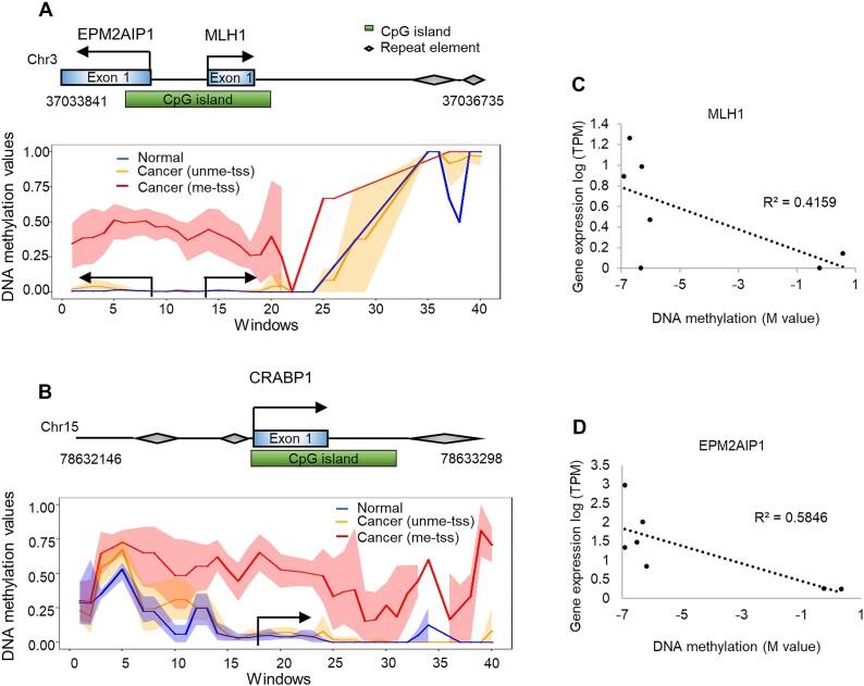 https://cdn.ncbi.nlm.nih.gov/pmc/blobs/c0ca/11109949/981dbbcc4f2c/gkae302fig6.jpg