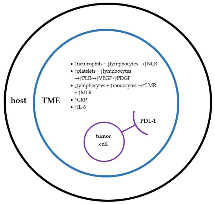 https://cdn.ncbi.nlm.nih.gov/pmc/blobs/c0cb/8069970/fa79af287a0f/biology-10-00325-g001.jpg