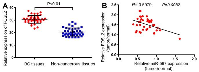 https://cdn.ncbi.nlm.nih.gov/pmc/blobs/c0cf/5428280/6ce8432abaf8/OR-37-05-2672-g05.jpg