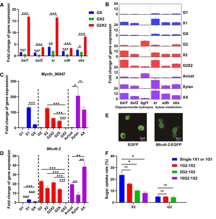 https://cdn.ncbi.nlm.nih.gov/pmc/blobs/c0d0/10877092/4660db9732a4/pgae053f4.jpg