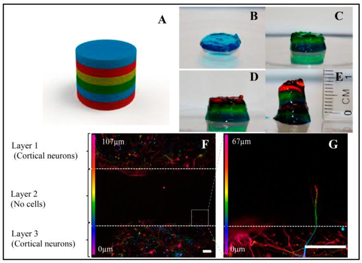 https://cdn.ncbi.nlm.nih.gov/pmc/blobs/c0d2/10216565/77d5dfe1b5dc/biosensors-13-00551-g011.jpg