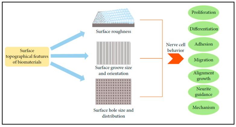 https://cdn.ncbi.nlm.nih.gov/pmc/blobs/c0d2/10216565/a2df782cee93/biosensors-13-00551-g013.jpg