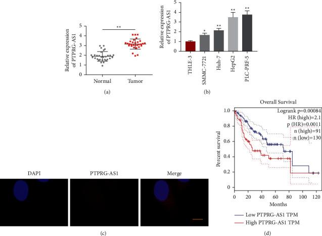 https://cdn.ncbi.nlm.nih.gov/pmc/blobs/c0d3/8645374/a6ca1610f11c/JO2021-3624306.001.jpg