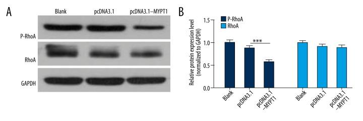 https://cdn.ncbi.nlm.nih.gov/pmc/blobs/c0d5/5937360/adc15f88535c/medscimonit-24-2508-g005.jpg
