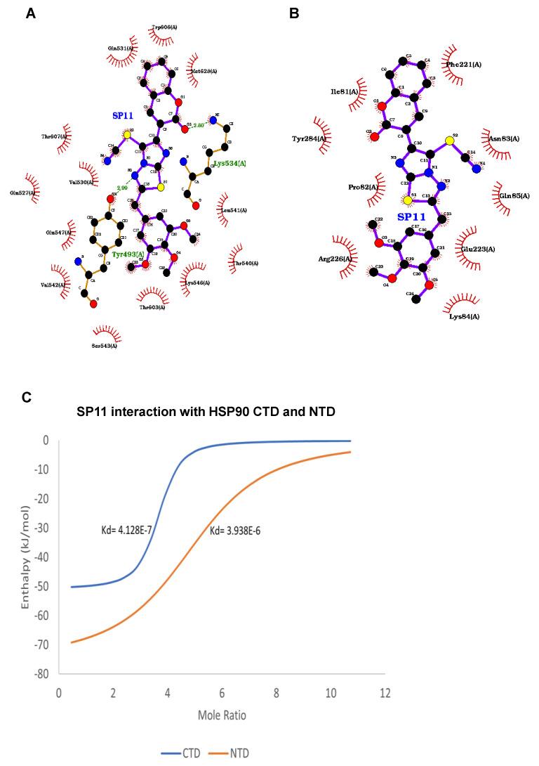 https://cdn.ncbi.nlm.nih.gov/pmc/blobs/c0d7/10343479/68478a7adfff/molecules-28-05226-g006a.jpg