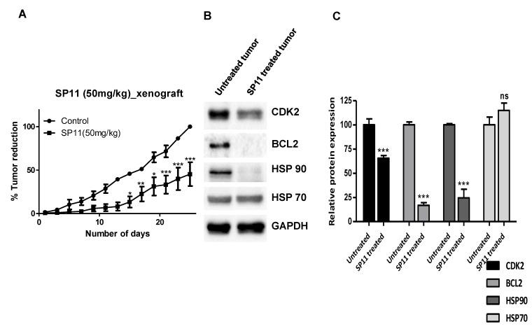 https://cdn.ncbi.nlm.nih.gov/pmc/blobs/c0d7/10343479/8a0c9ebd5ec8/molecules-28-05226-g007.jpg