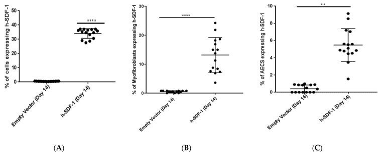 https://cdn.ncbi.nlm.nih.gov/pmc/blobs/c0d8/9502331/4de89339d542/pharmaceutics-14-01803-g001.jpg