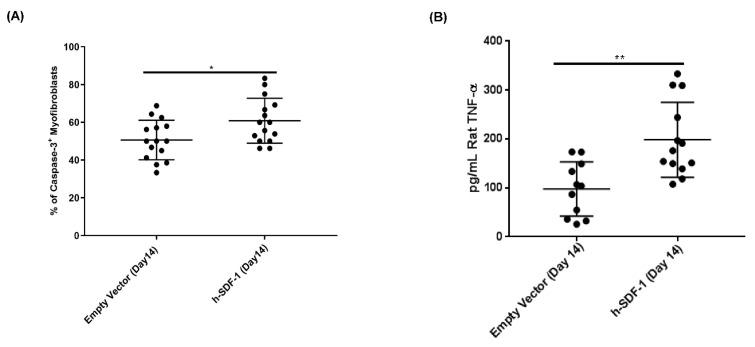 https://cdn.ncbi.nlm.nih.gov/pmc/blobs/c0d8/9502331/ce517233d285/pharmaceutics-14-01803-g005.jpg
