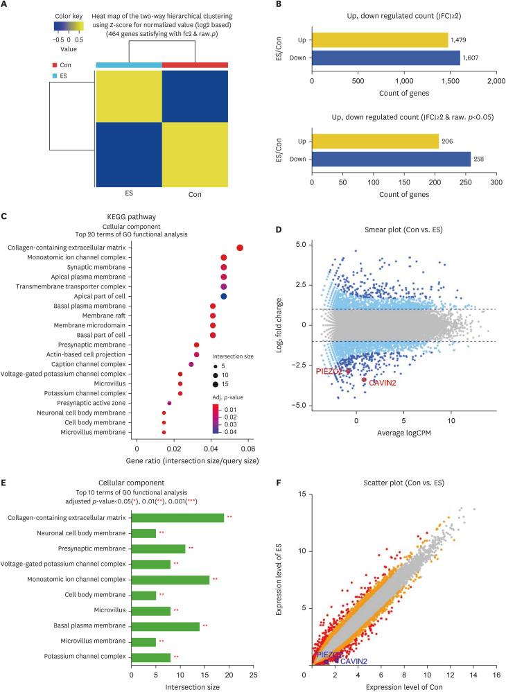 https://cdn.ncbi.nlm.nih.gov/pmc/blobs/c0da/12117547/3d0489ba45a5/ad-37-152-g002.jpg