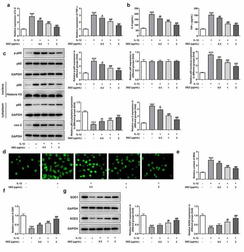 https://cdn.ncbi.nlm.nih.gov/pmc/blobs/c0da/8805889/073c2f139e6a/KBIE_A_2017700_F0002_OC.jpg