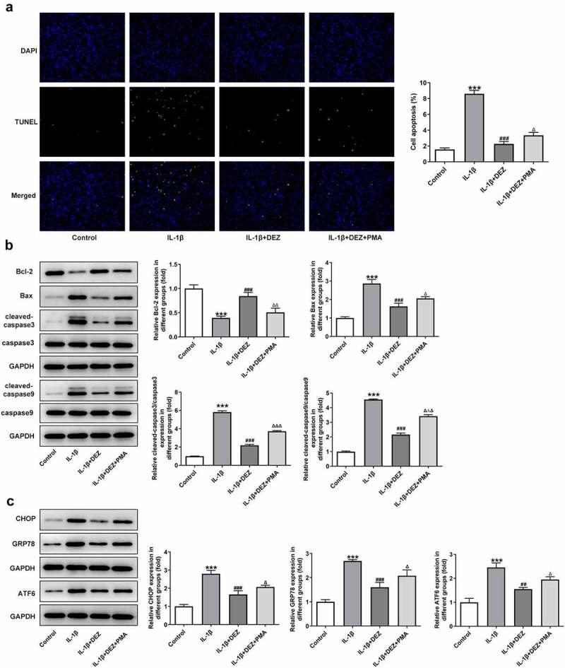 https://cdn.ncbi.nlm.nih.gov/pmc/blobs/c0da/8805889/88cef87f04fd/KBIE_A_2017700_F0006_OC.jpg
