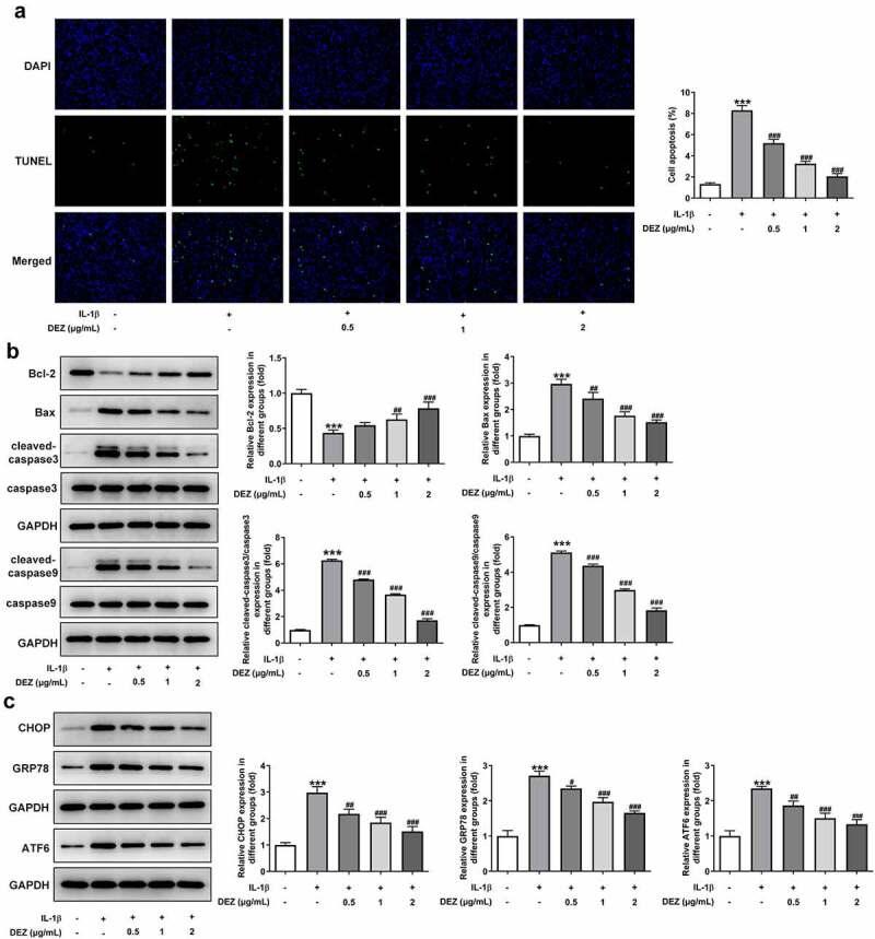 https://cdn.ncbi.nlm.nih.gov/pmc/blobs/c0da/8805889/d1fb20fa7cd1/KBIE_A_2017700_F0003_OC.jpg