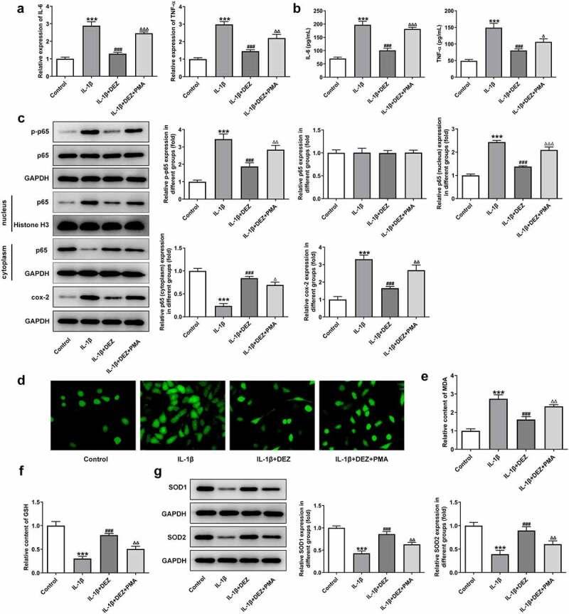 https://cdn.ncbi.nlm.nih.gov/pmc/blobs/c0da/8805889/f761b8f9ddfc/KBIE_A_2017700_F0005_OC.jpg