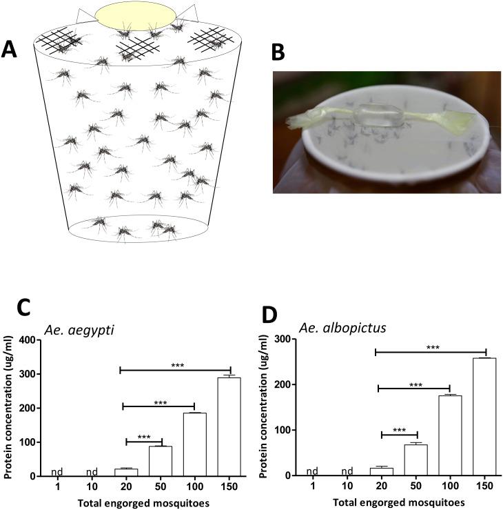 https://cdn.ncbi.nlm.nih.gov/pmc/blobs/c0db/7259494/a88ba47e2861/pone.0233618.g002.jpg