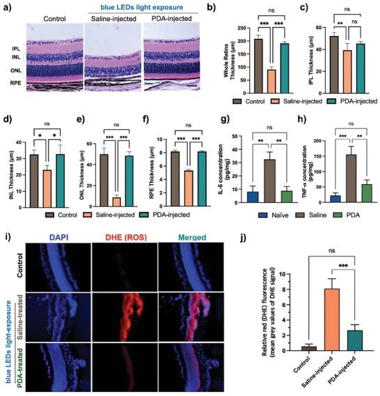 https://cdn.ncbi.nlm.nih.gov/pmc/blobs/c0df/11304300/cdc7c9dcef57/ADVS-11-2400230-g005.jpg