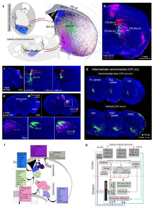 https://cdn.ncbi.nlm.nih.gov/pmc/blobs/c0df/5564682/5f6a5e224ac2/nihms789157f5.jpg
