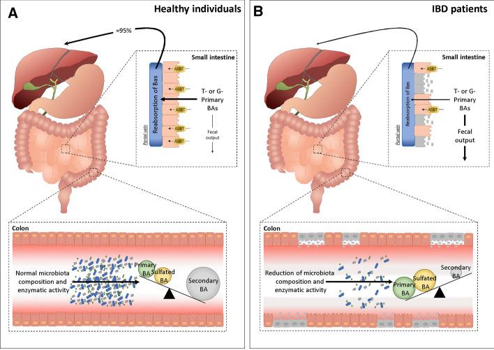 https://cdn.ncbi.nlm.nih.gov/pmc/blobs/c0df/7935738/1fd219587f67/10620_2020_6715_Fig3_HTML.jpg